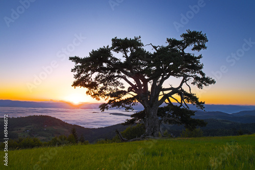 Sunrise Over Kamena Gora, Serbia