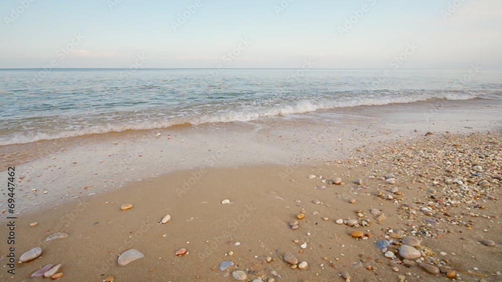 Shore on the beach Shore on the beach