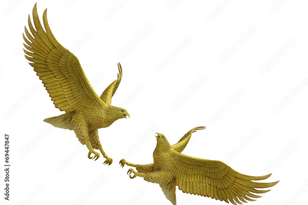 eagles fighting on white background eagles fighting on white background