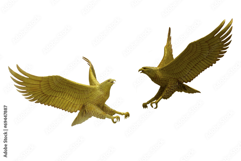 eagles fighting on white background eagles fighting on white background