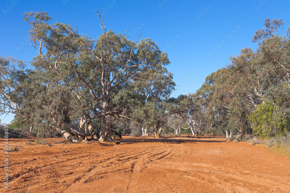 Fototapeta premium Dried up river bed in outback Australia