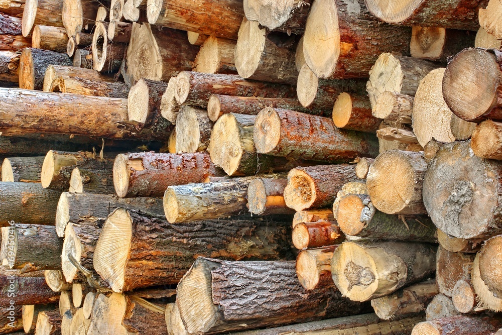 Wood Harvesting Background