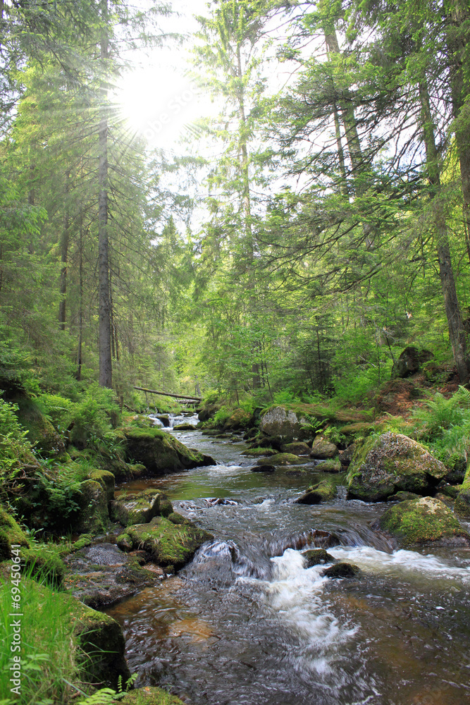 schwarzwald