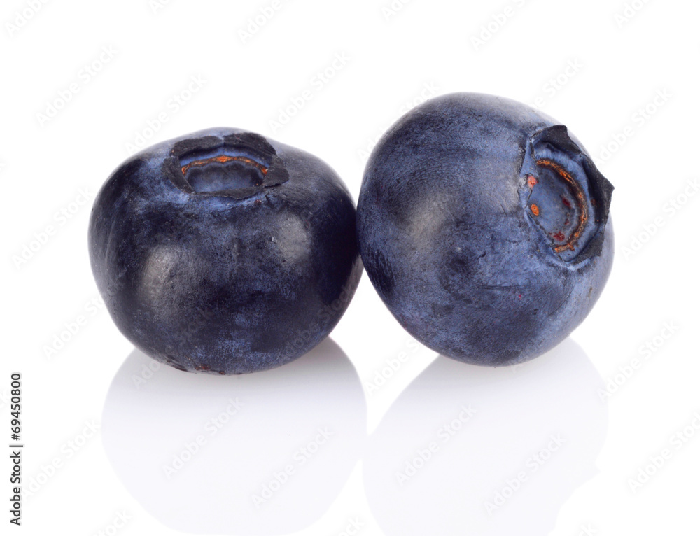 Studio shot of two fresh blueberries isolated white Studio shot of two fresh blueberries isolated white