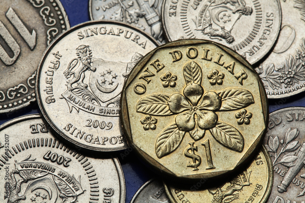 Obraz premium Coins of Singapore