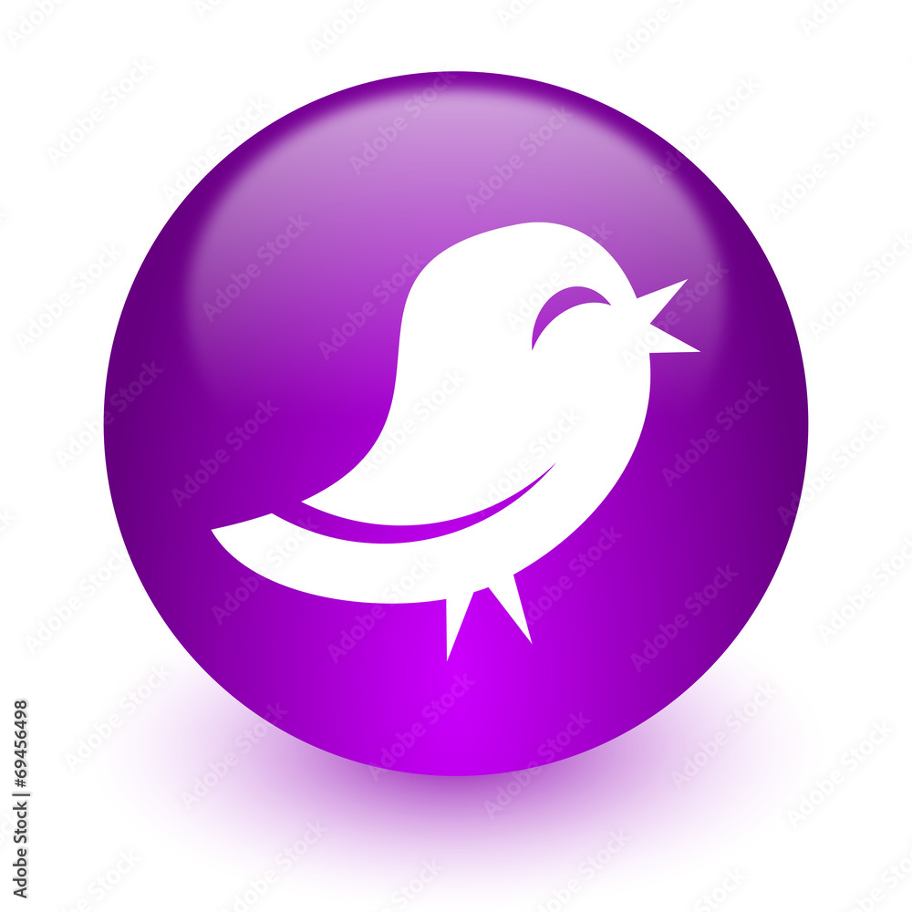 twitter internet icon twitter internet icon