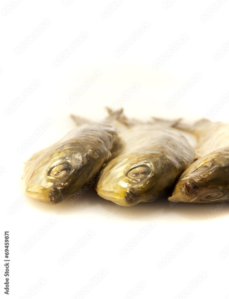 Fresh sardines on white background Fresh sardines on white background