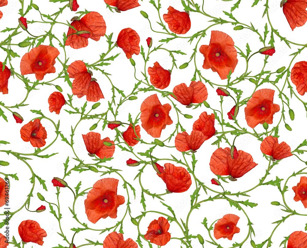 Fototapeta premium flower ornamental seamless background