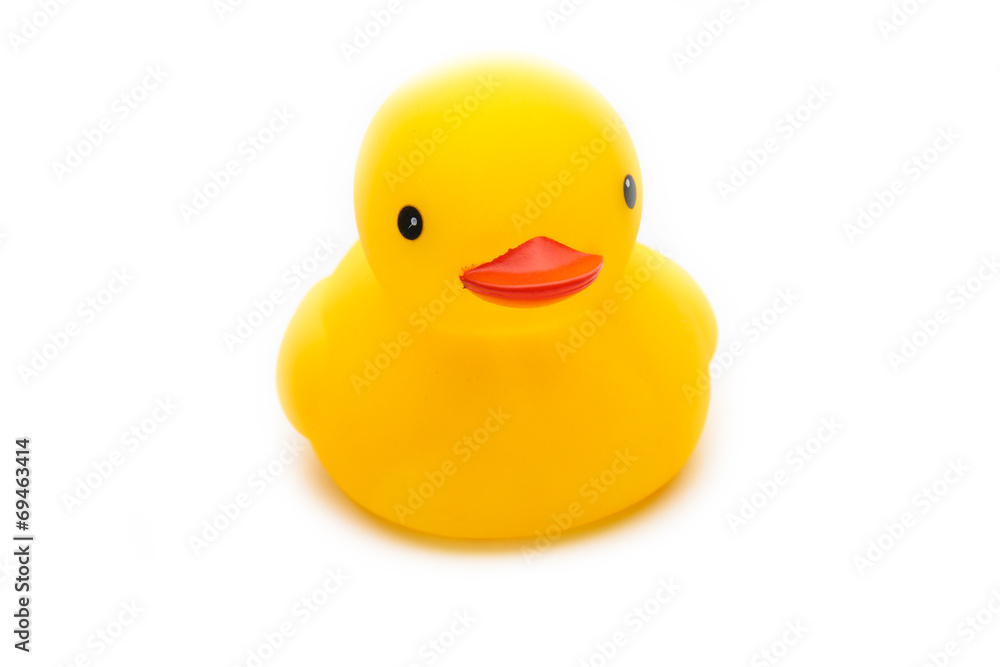 Duck toy Duck toy