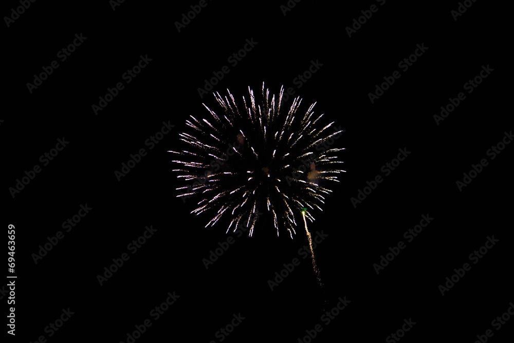 Fireworks in the night sky Fireworks in the night sky