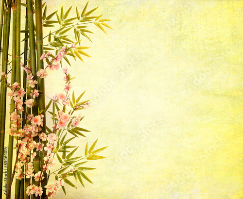 Fototapeta Naklejka Na Ścianę i Meble -  bamboo on old grunge paper texture background