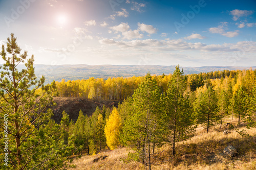 Fototapeta Naklejka Na Ścianę i Meble -  Pine trees in the forest in the mountains. Autumn landscape