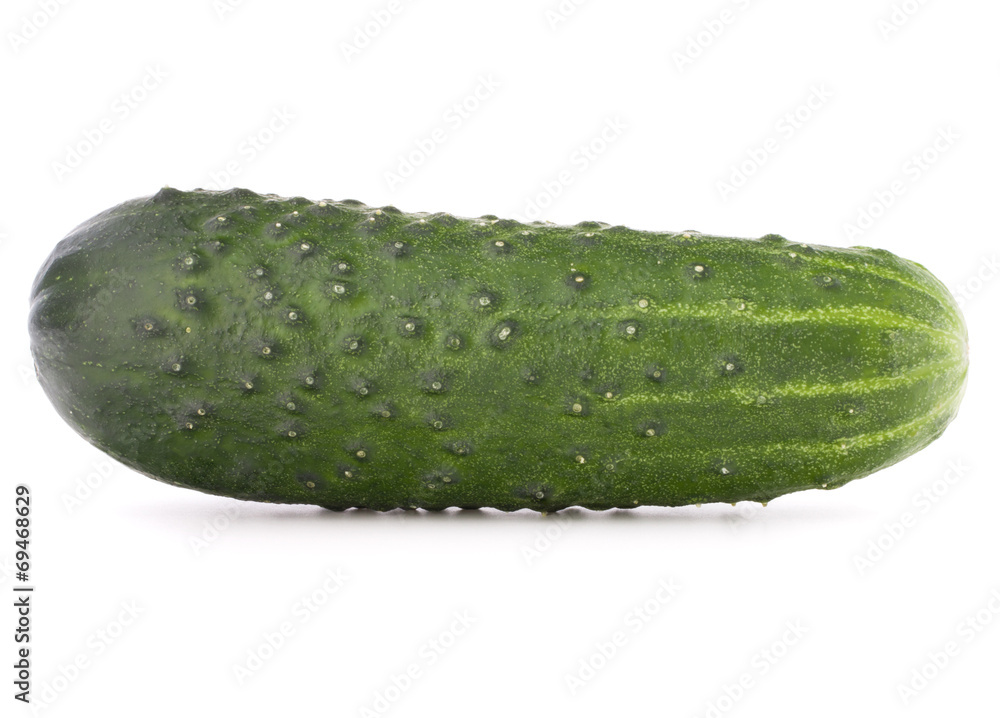 Cucumber vegetable isolated on white background cutout Cucumber vegetable isolated on white background cutout