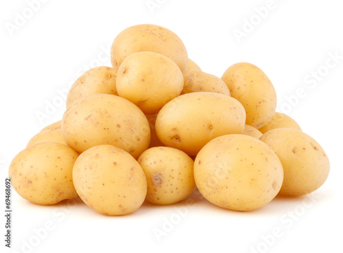 Fotografie, Obraz new potato tuber isolated on white background cutout