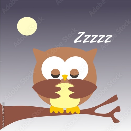 buho durmiendo