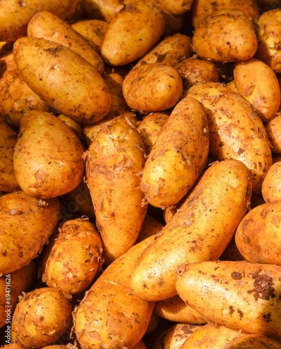Kartoffeln2808a