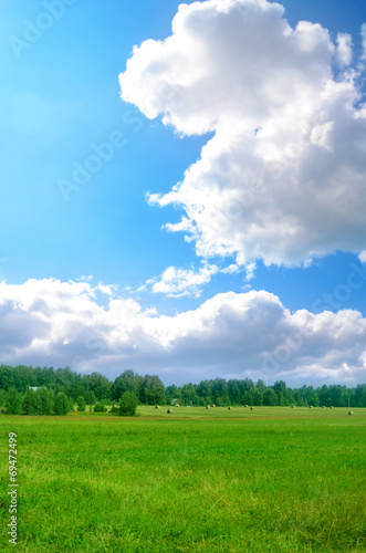 Meadow background