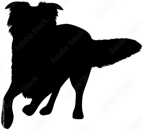 Hund