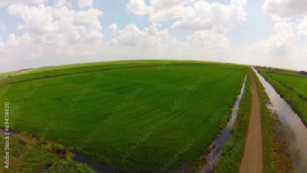 Air view on rice fields in Krasnodar region, Russia Air view on rice fields in Krasnodar region, Russia