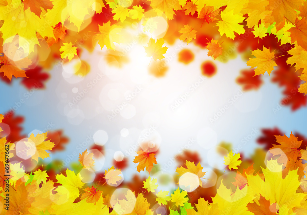 Autumn leaves Autumn leaves
