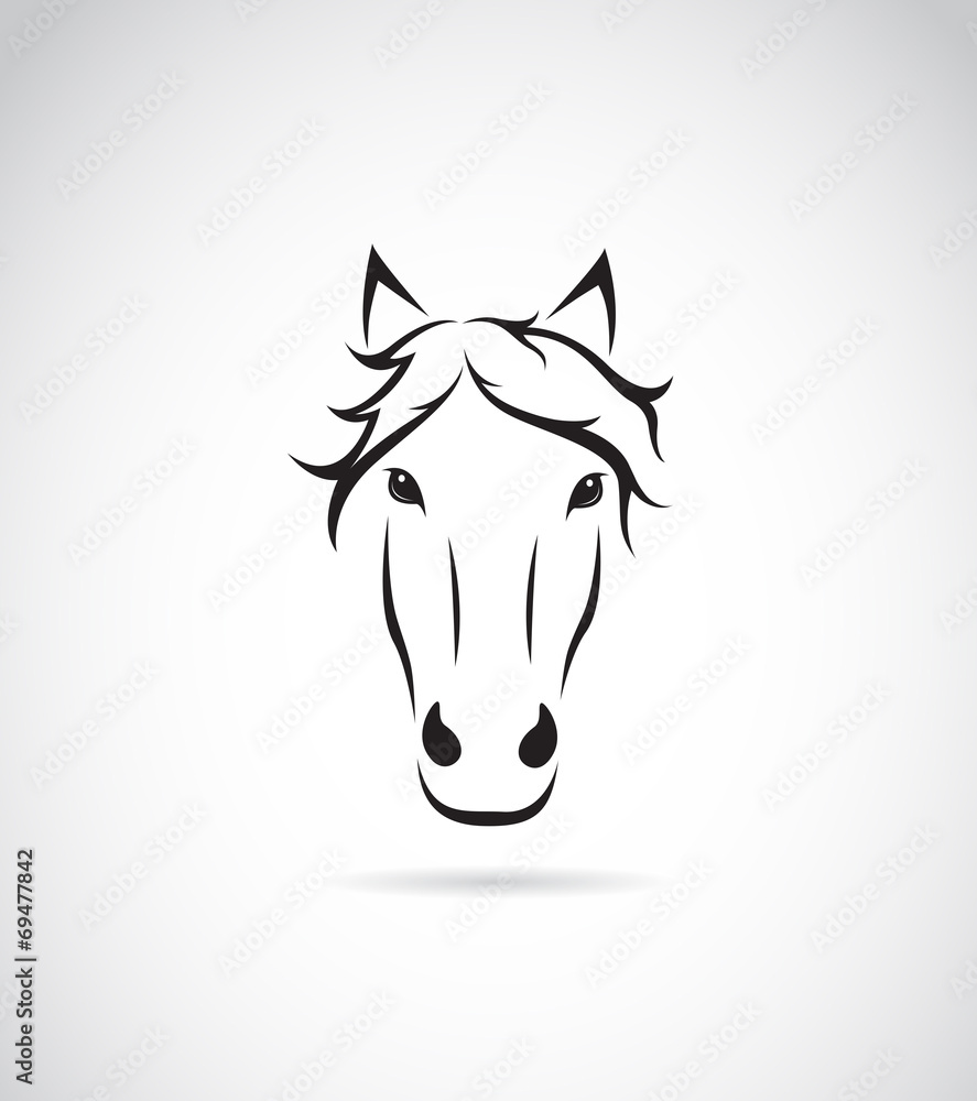 Vector image of an horse face on white background