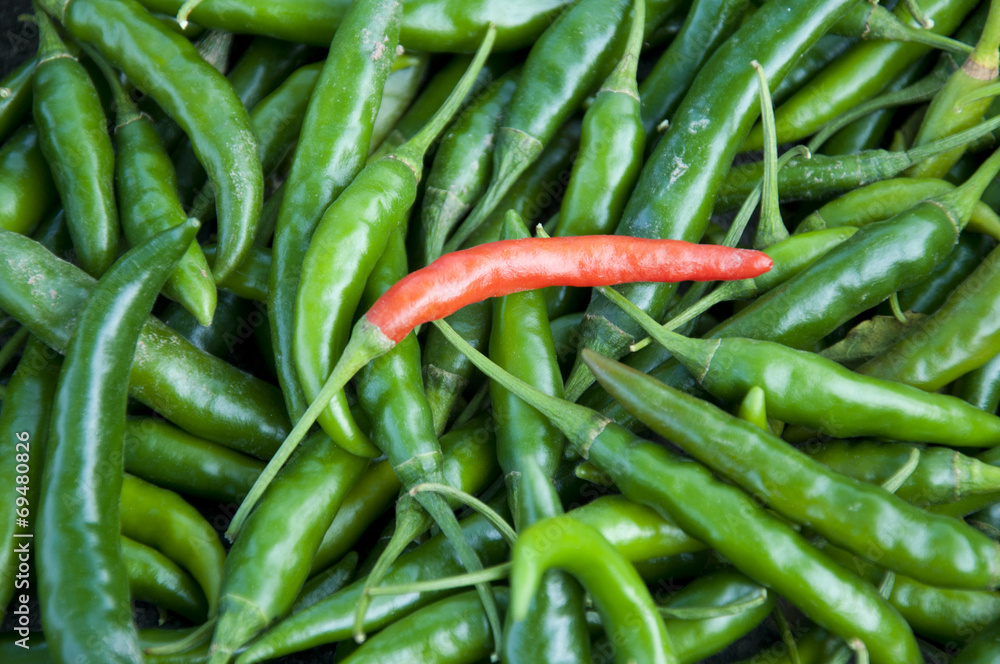 Chillies for sale in India Chillies for sale in India