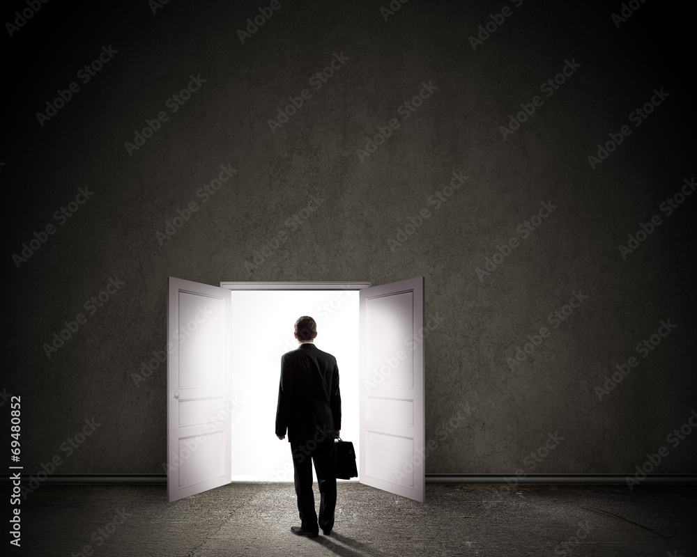 Fototapeta premium Business solution