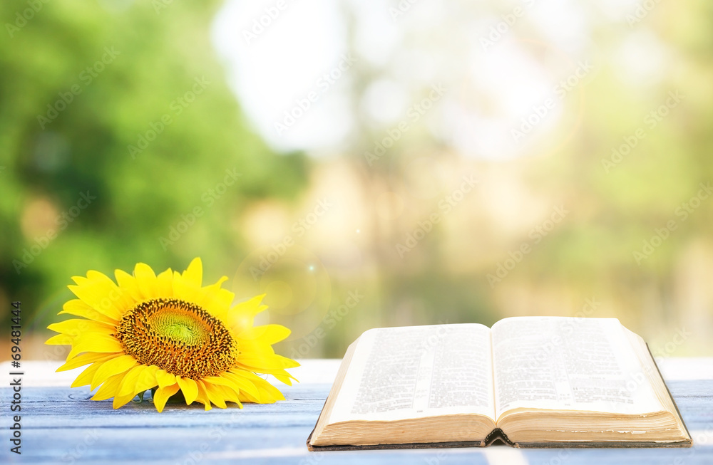 Fototapeta premium Open book on table outdoors