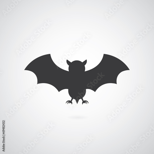 flight of a bat