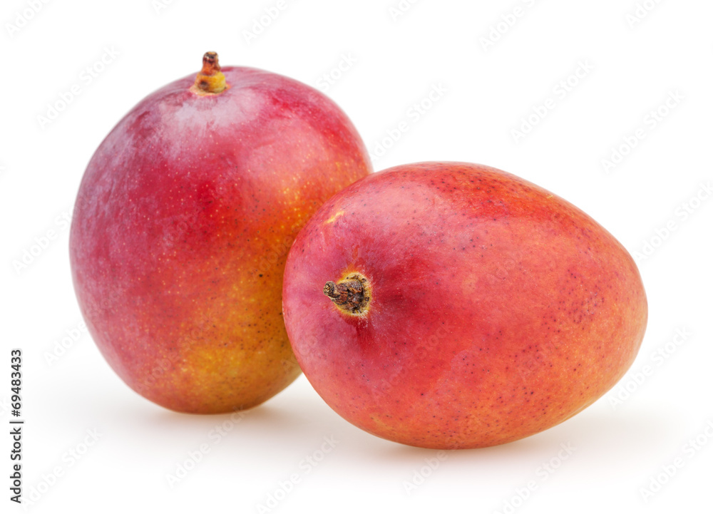 Two mangoes isolated on white background with clipping path Two mangoes isolated on white background with clipping path