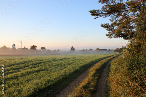 Sonnenaufgang im Nebel am Dorfrand