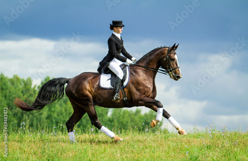 Slika na platnu Woman riding a horse on the hill. Equestrian sport - dressage.