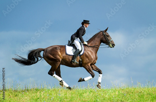 Woman riding a horse on the hill. Equestrian sport - dressage. © Rita Kochmarjova
