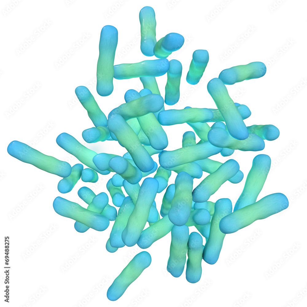 Shigella dysenteriae - 3d Render Shigella dysenteriae - 3d Render