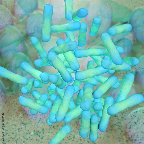 Shigella dysenteriae - 3d Render