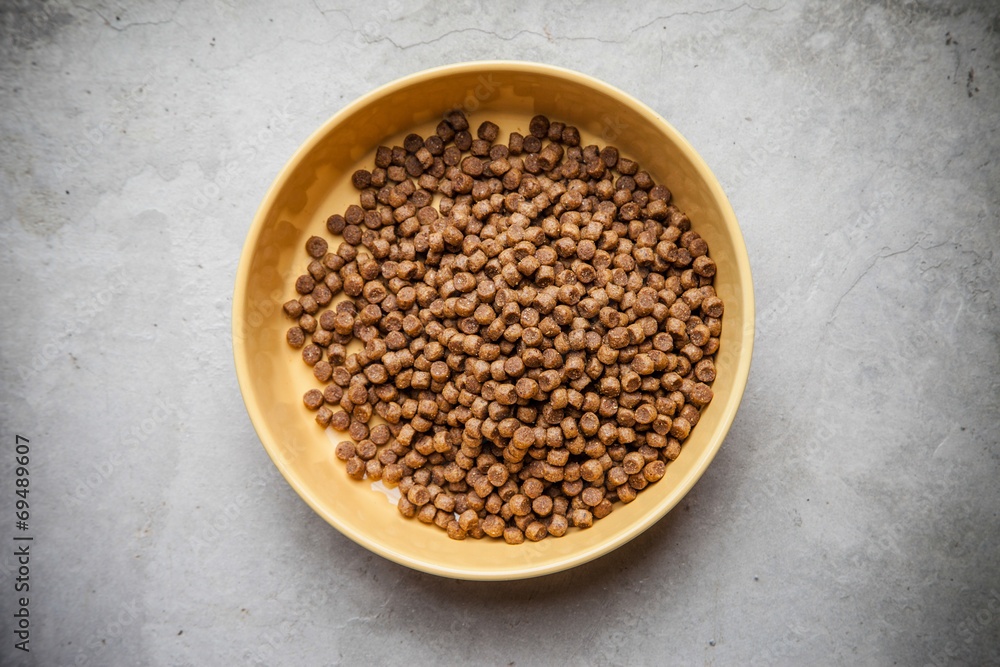 dog food dog food