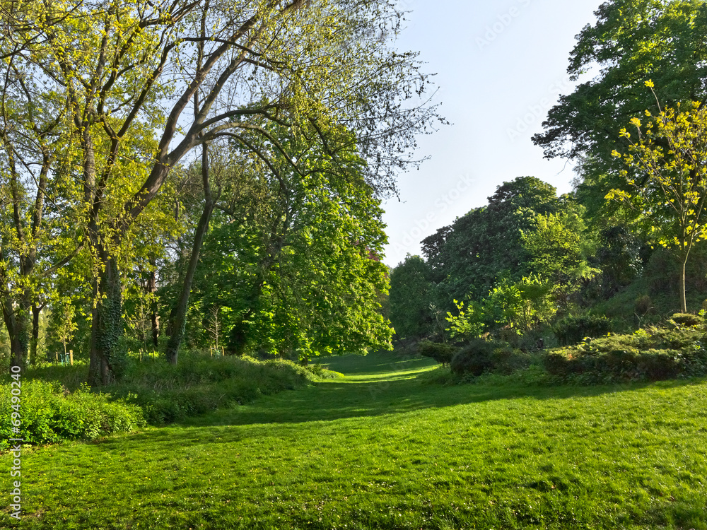 Group of spring trees. Group of spring trees.