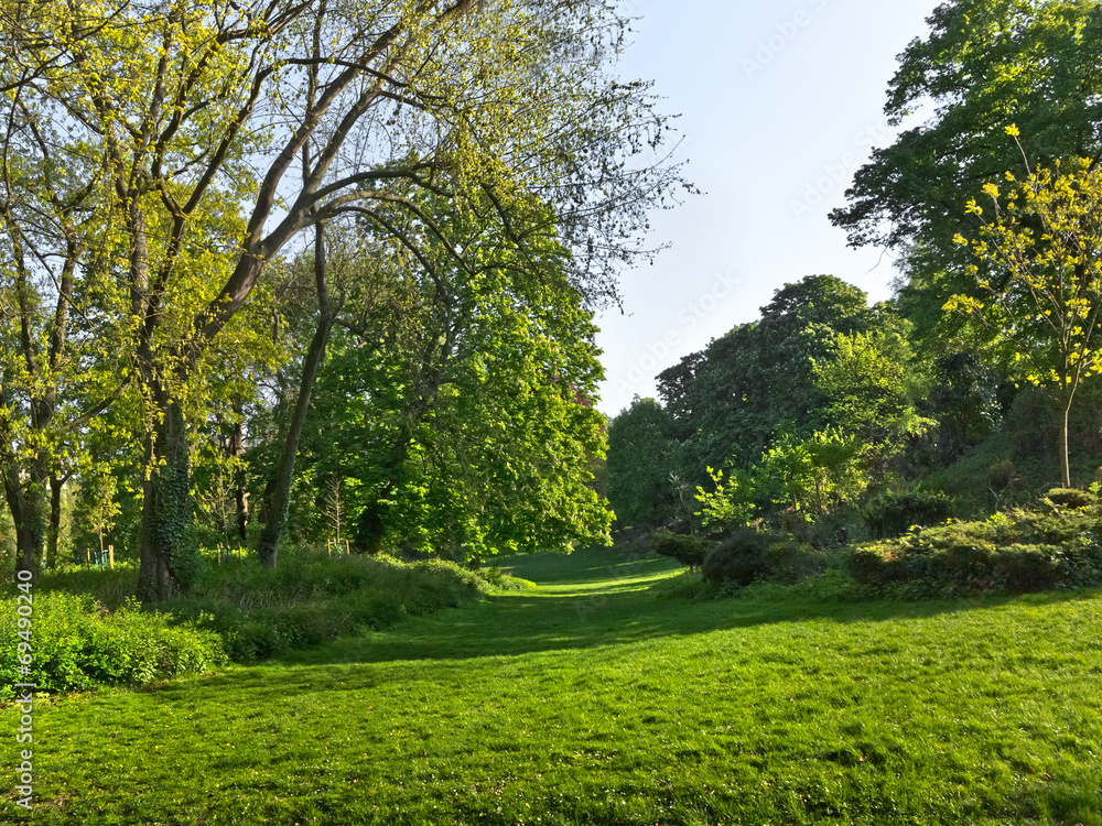 Group of spring trees.