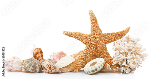 Seashells on sand, isolated on white