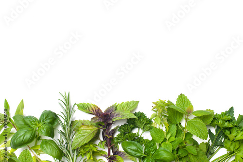 Fresh herbs