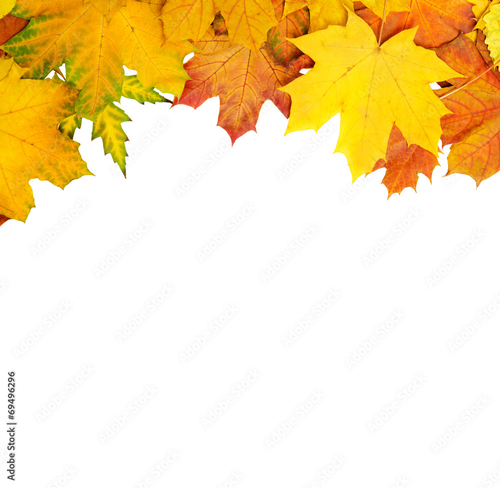 Autumn leaves frame Autumn leaves frame