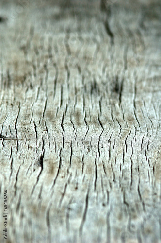 wood texture with selective focus