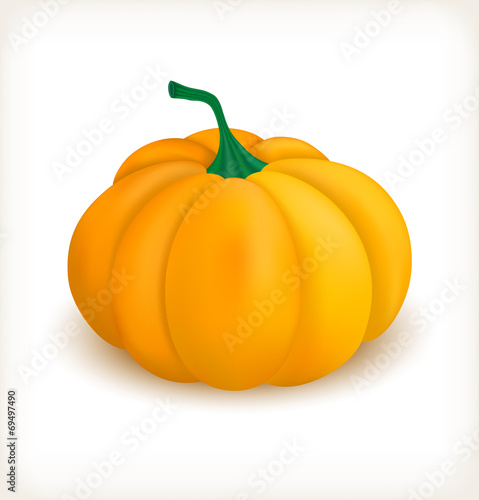 Cheerful matt pumpkin