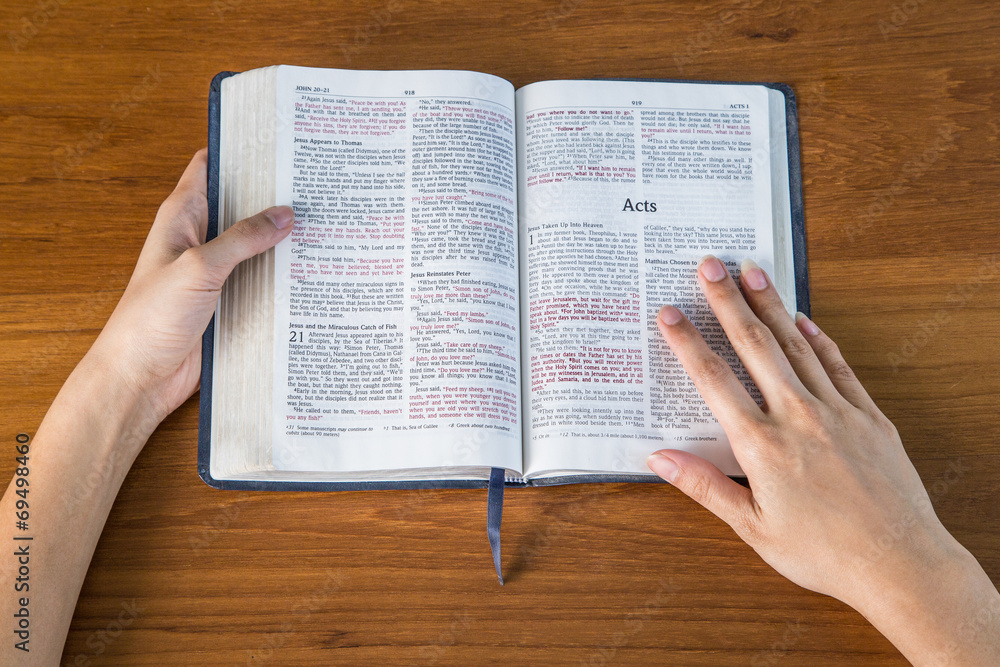 Naklejka premium bible