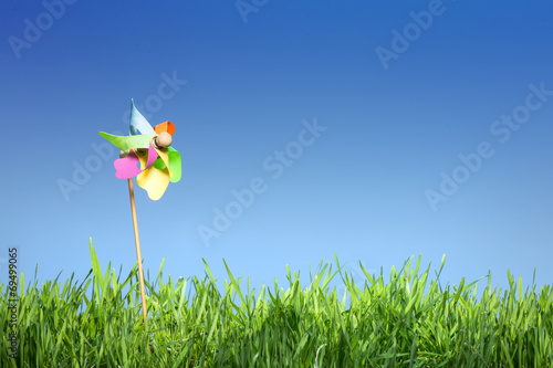 Pinwheel on the grass