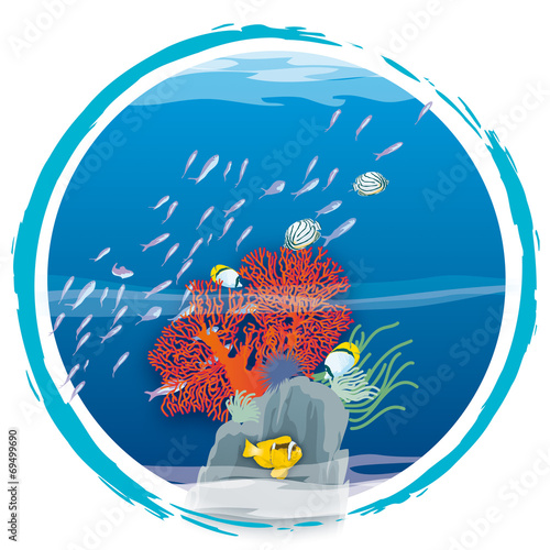 Atoll - Coraux sur rocher