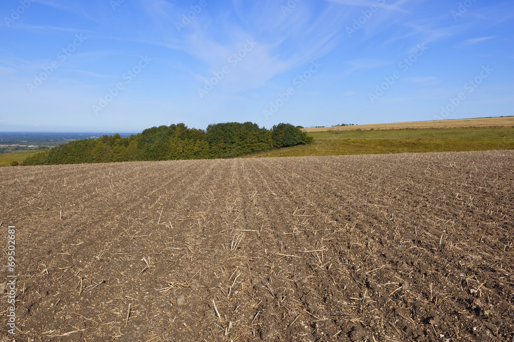 hillside plowed field hillside plowed field