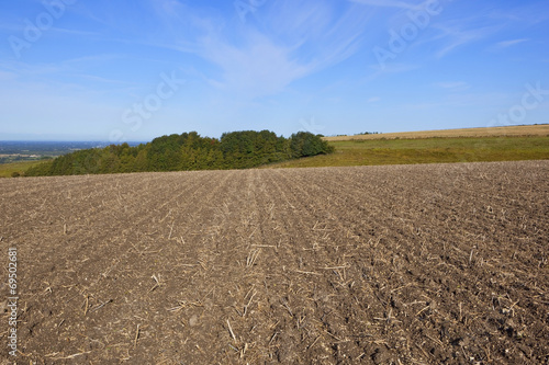 hillside plowed field