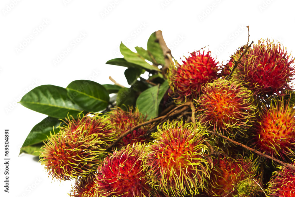 south american exotic fruits Lichas isolated south american exotic fruits Lichas isolated