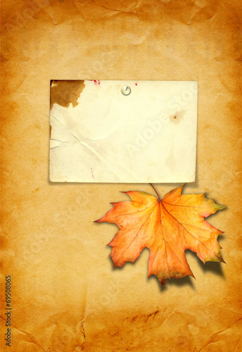 Grunge paper design in scrapbooking style with photoframe and au